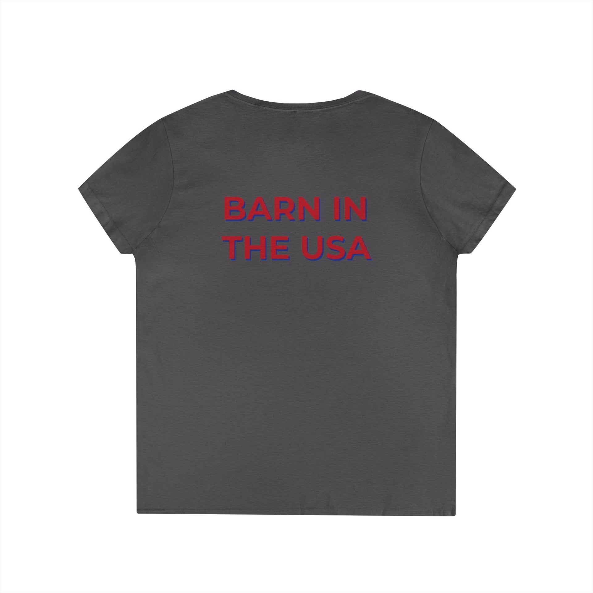 Barn In The USA V-Neck T-Shirt