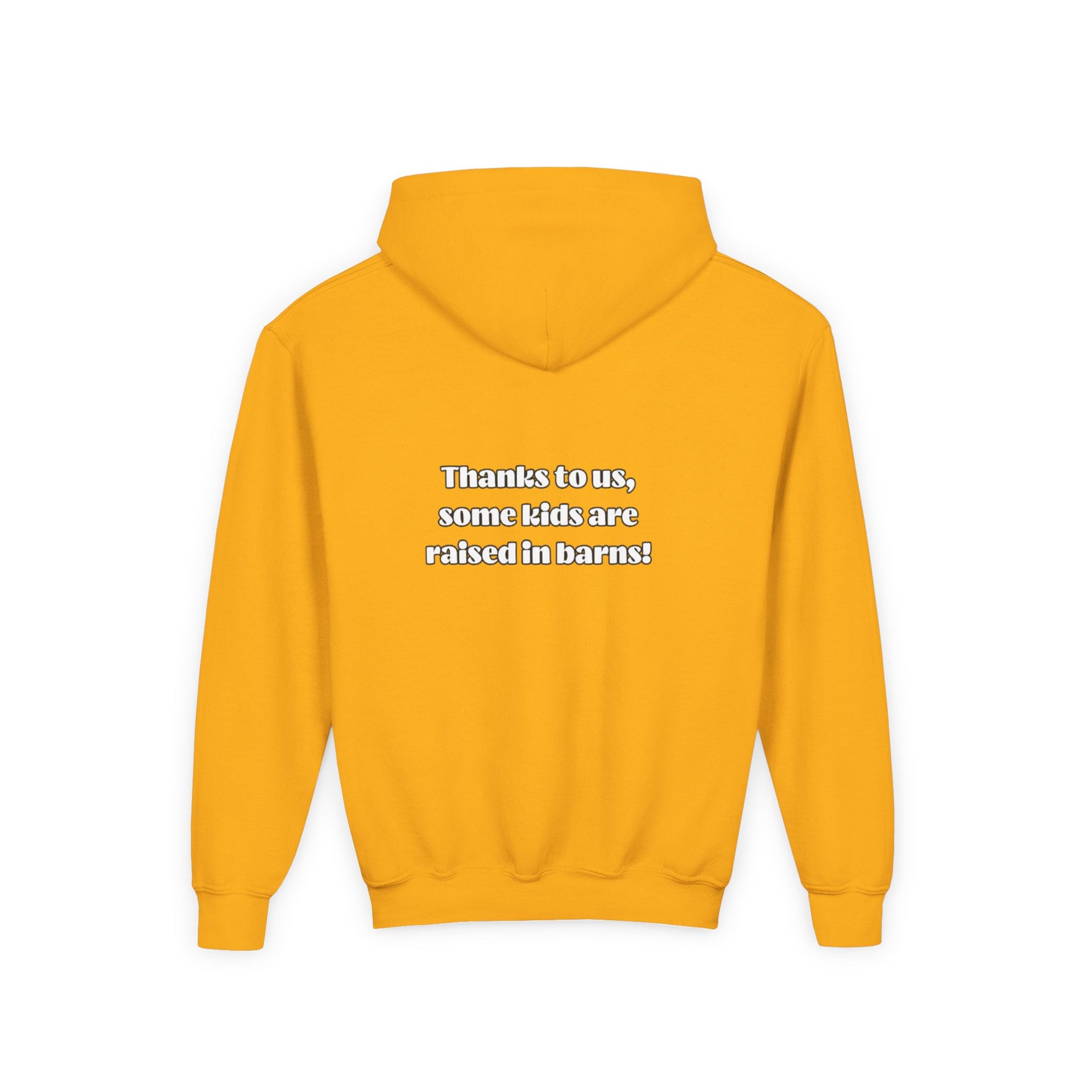 Raised In A Barn Youth Hooded Sweatshirt