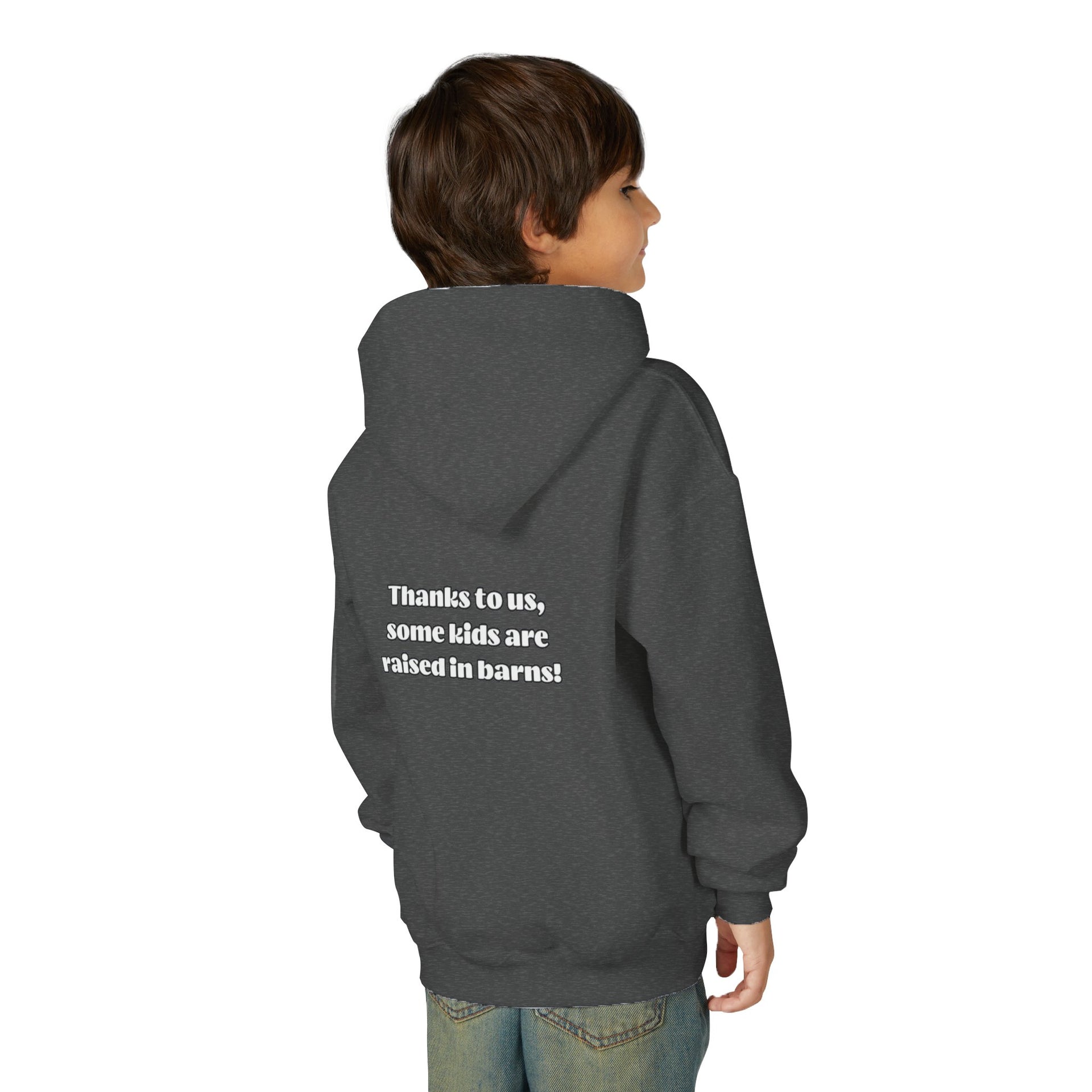 Raised In A Barn Youth Hooded Sweatshirt