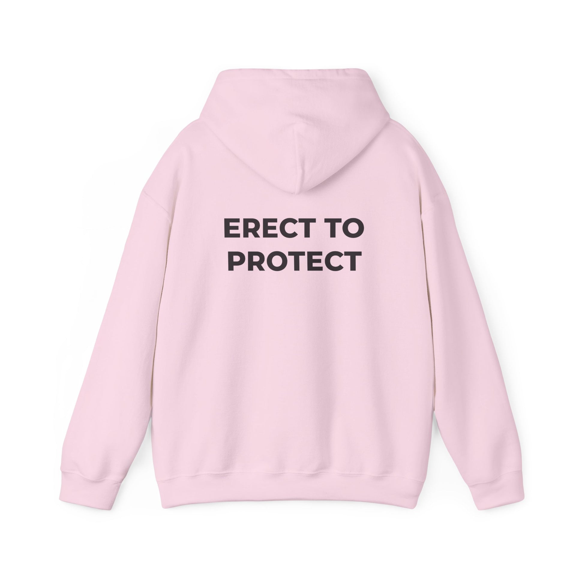 Erect To Protect Sweatshirt